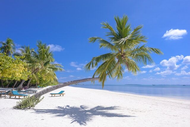 Don't Want to Travel Solo? Consider These Helpful Solutions